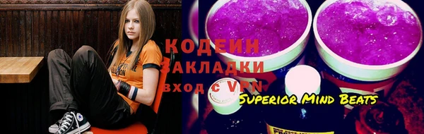 шишки Белокуриха