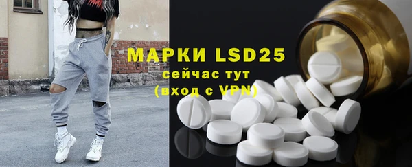 шишки Белокуриха