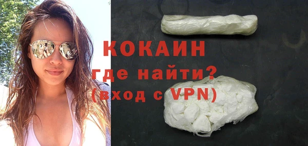 шишки Белокуриха