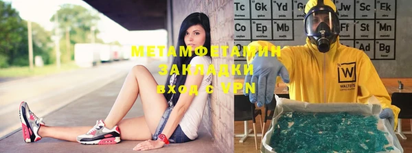 шишки Белокуриха